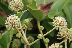 Image: Trevor James © Trevor James 